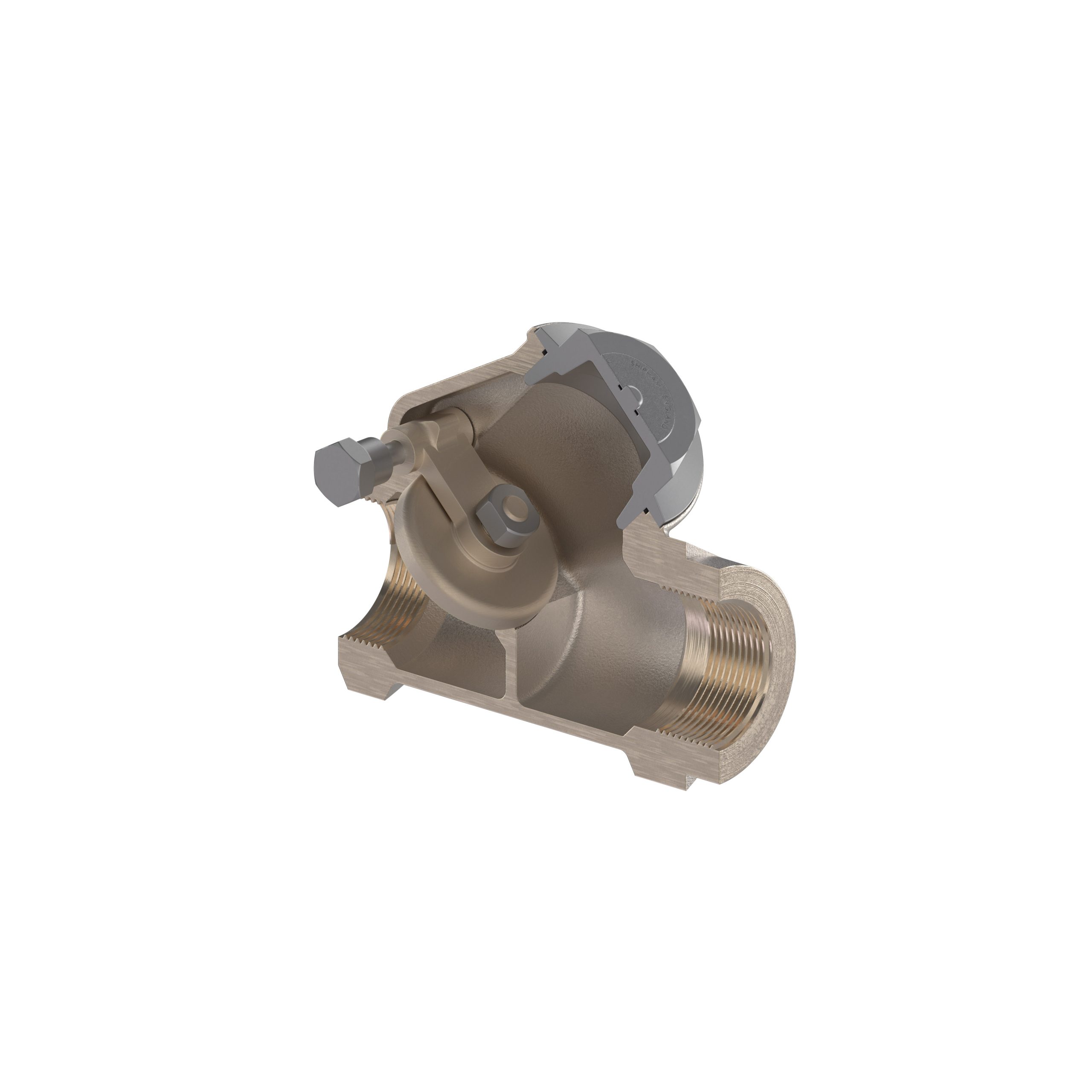 Shipham Valves Swing Check Valve with Screwed Bonnet SC01
