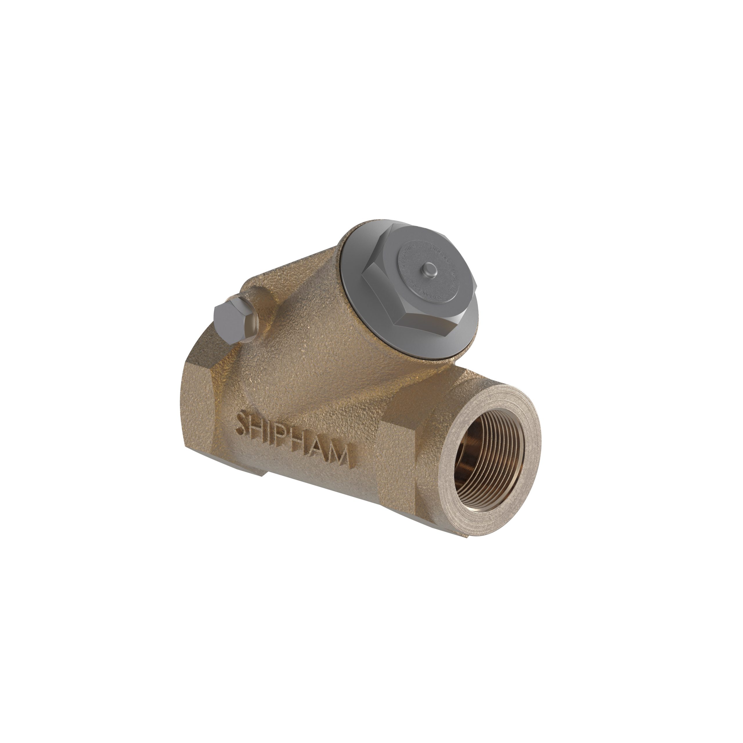 Shipham Valves Swing Check Valve with Screwed Bonnet SC01