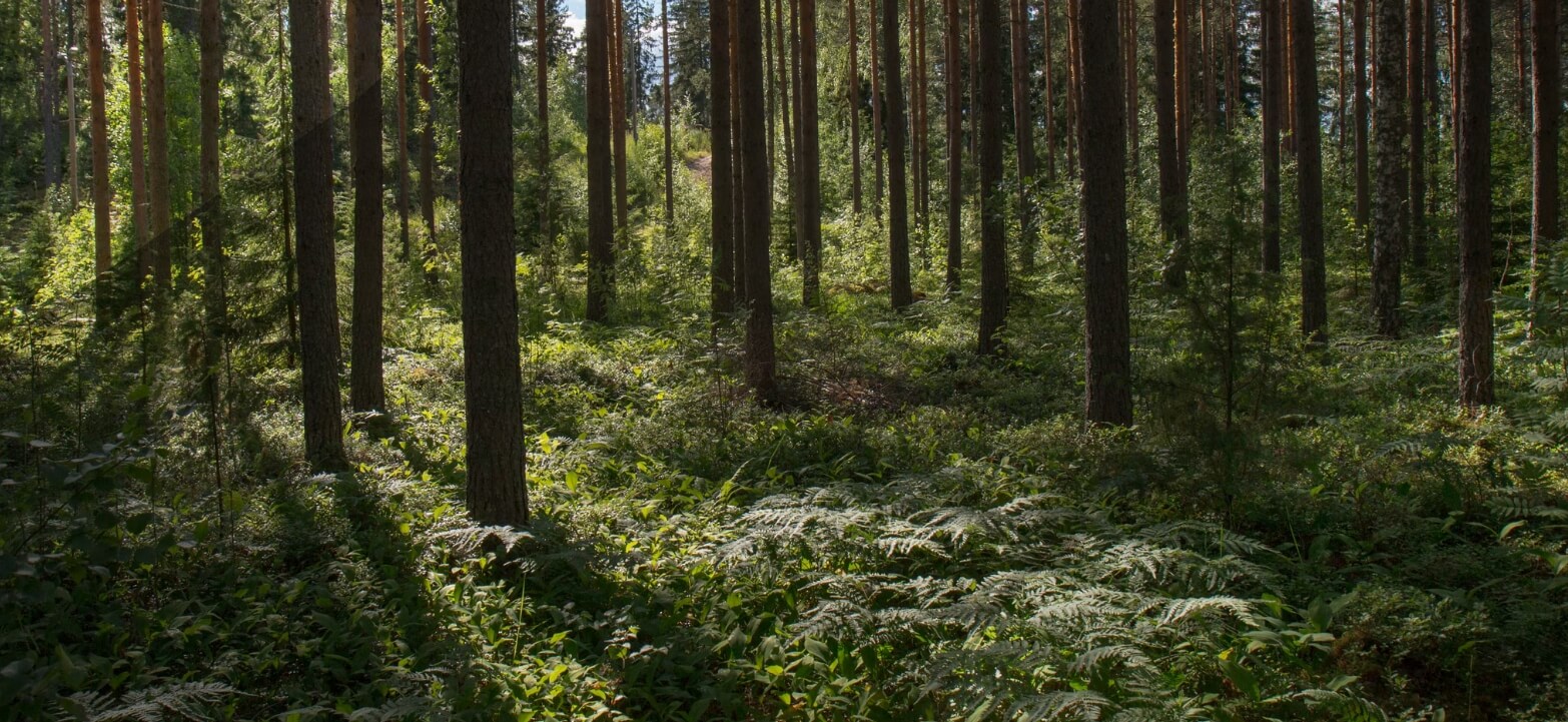 Shipham Valves maintain sustainable manufacture processes